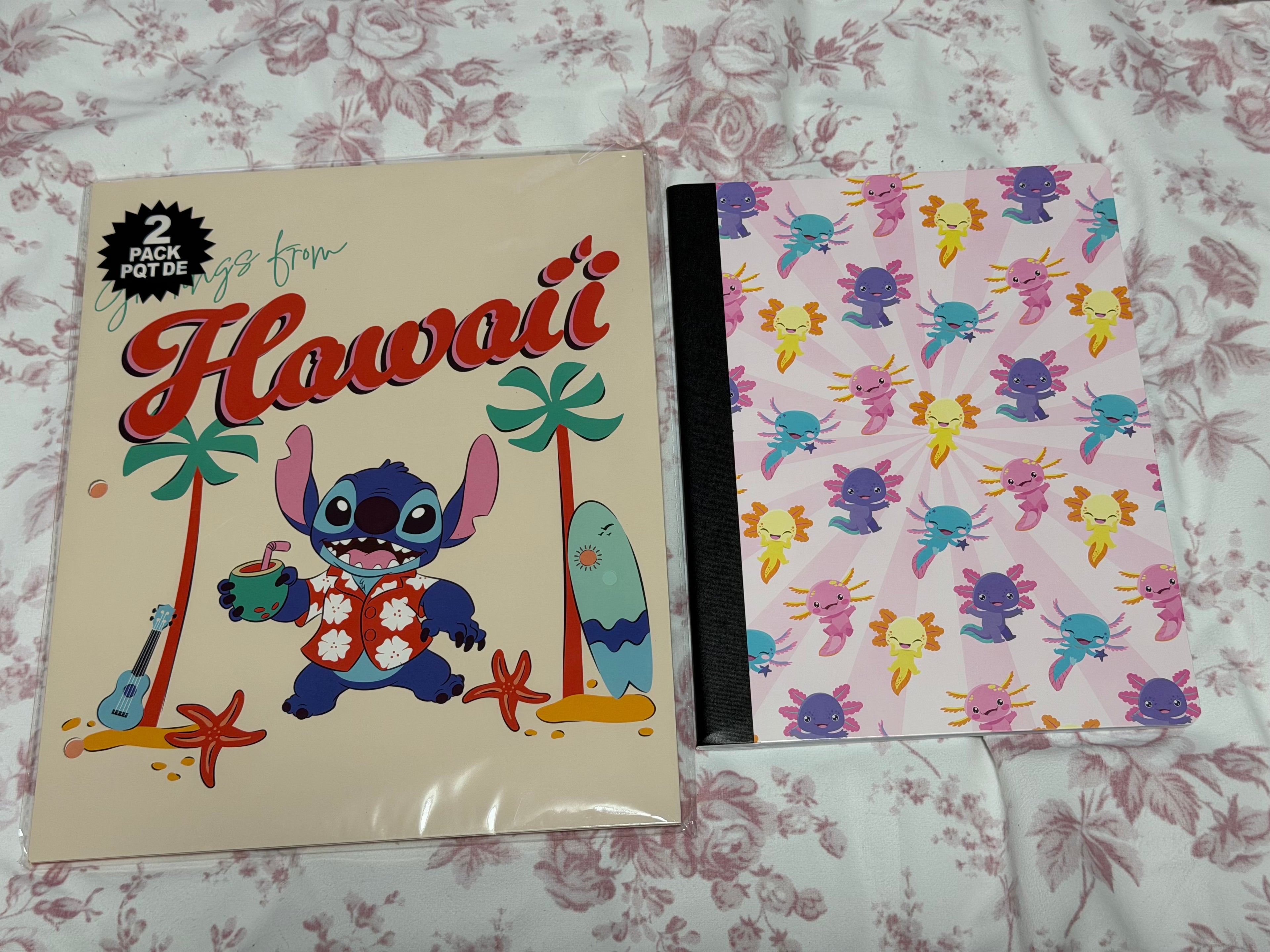 School Supplies Surprise Bundle / Mystery Back-to-School Box