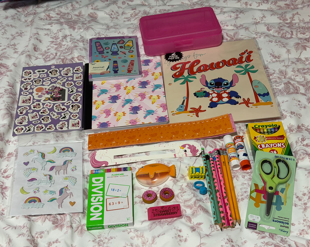 School Supplies Surprise Bundle / Mystery Back-to-School Box